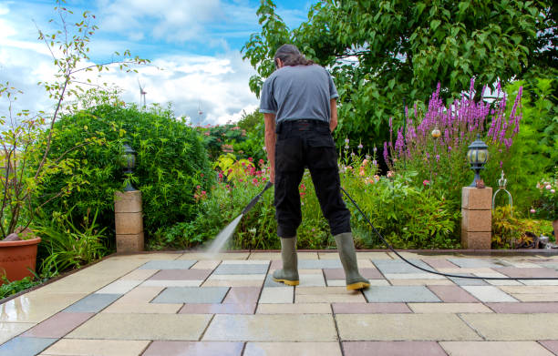 Best Gutter Cleaning and Brightening in Strathmore, CA